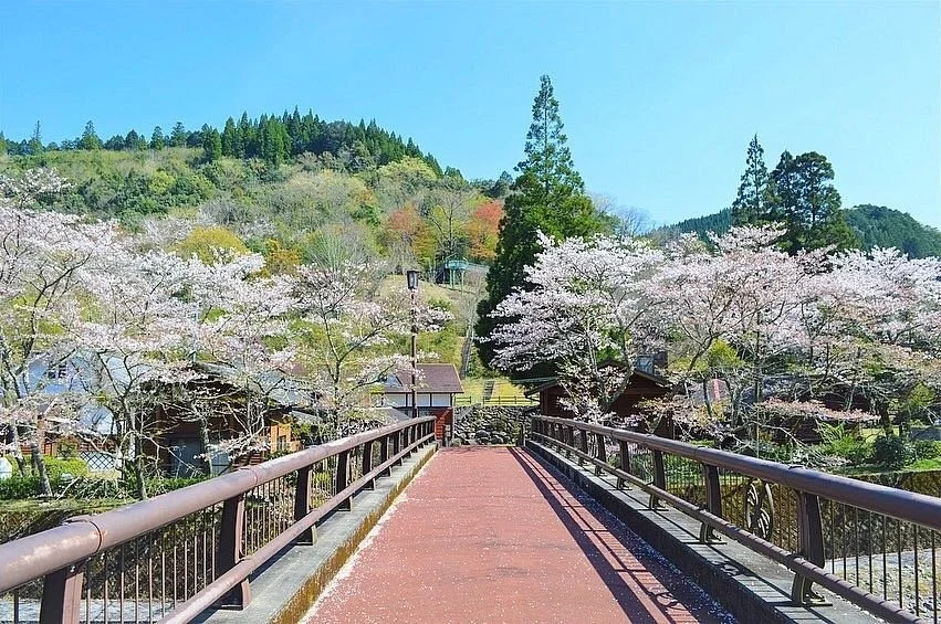Naokawa Ikoi no Mori Park