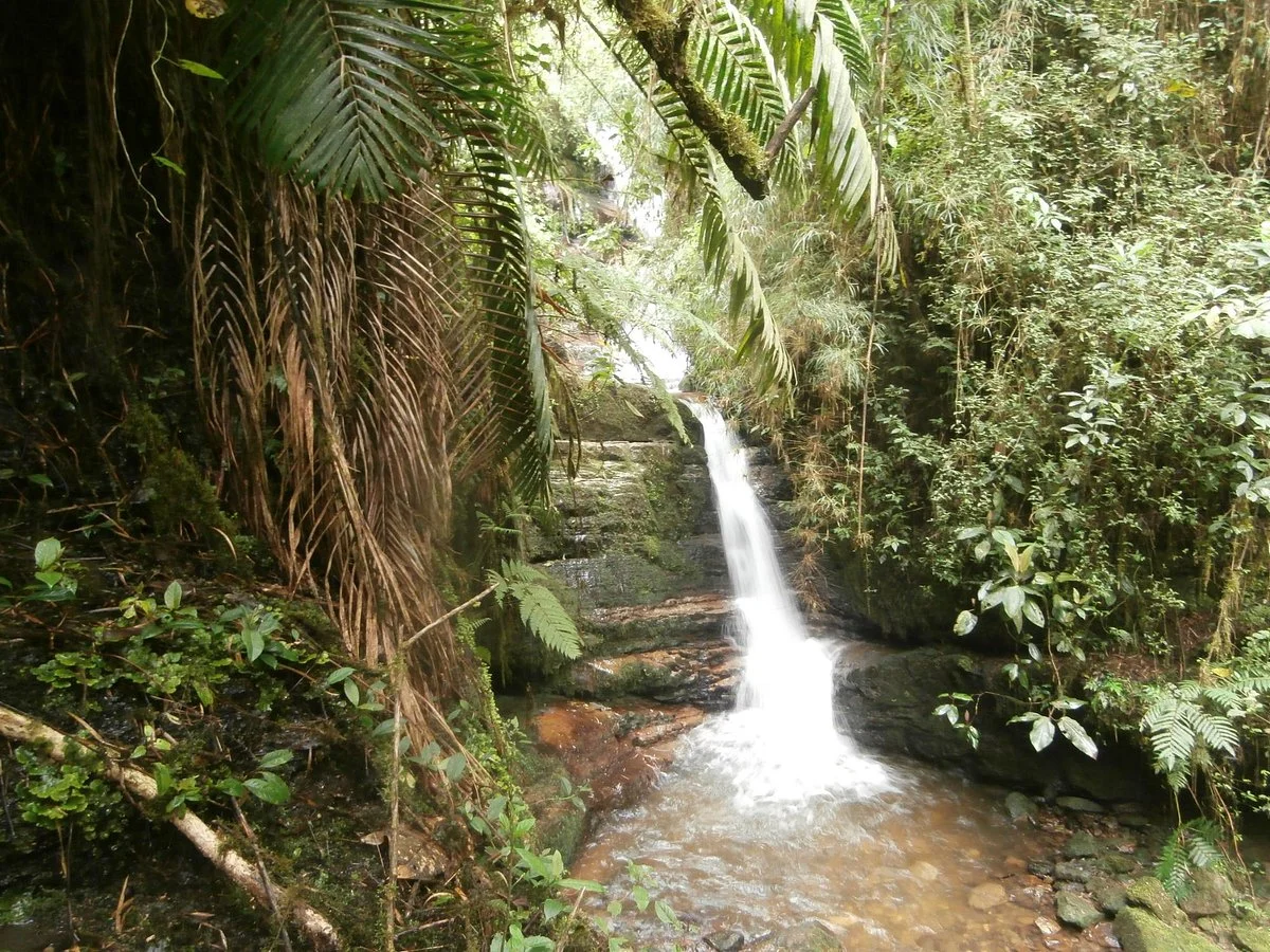 Parque Aventura la Chorrera