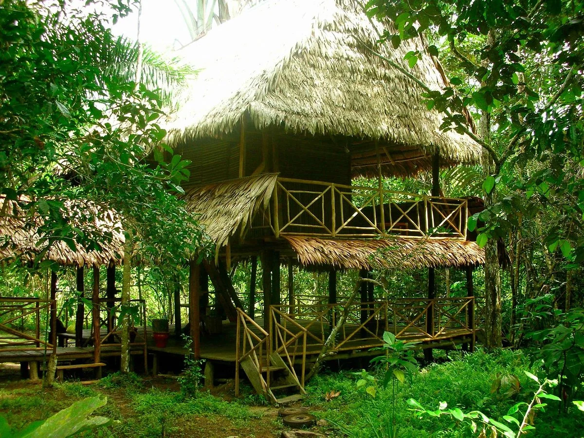 Allpahuayo Mishana Bed & Trees