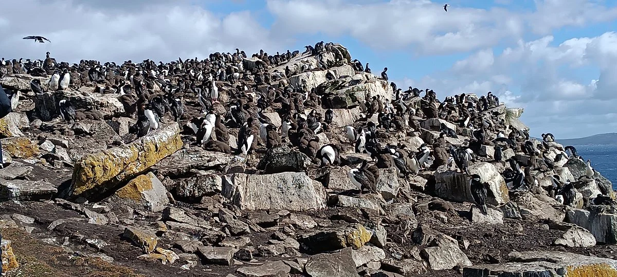 Kidney Cove Tours