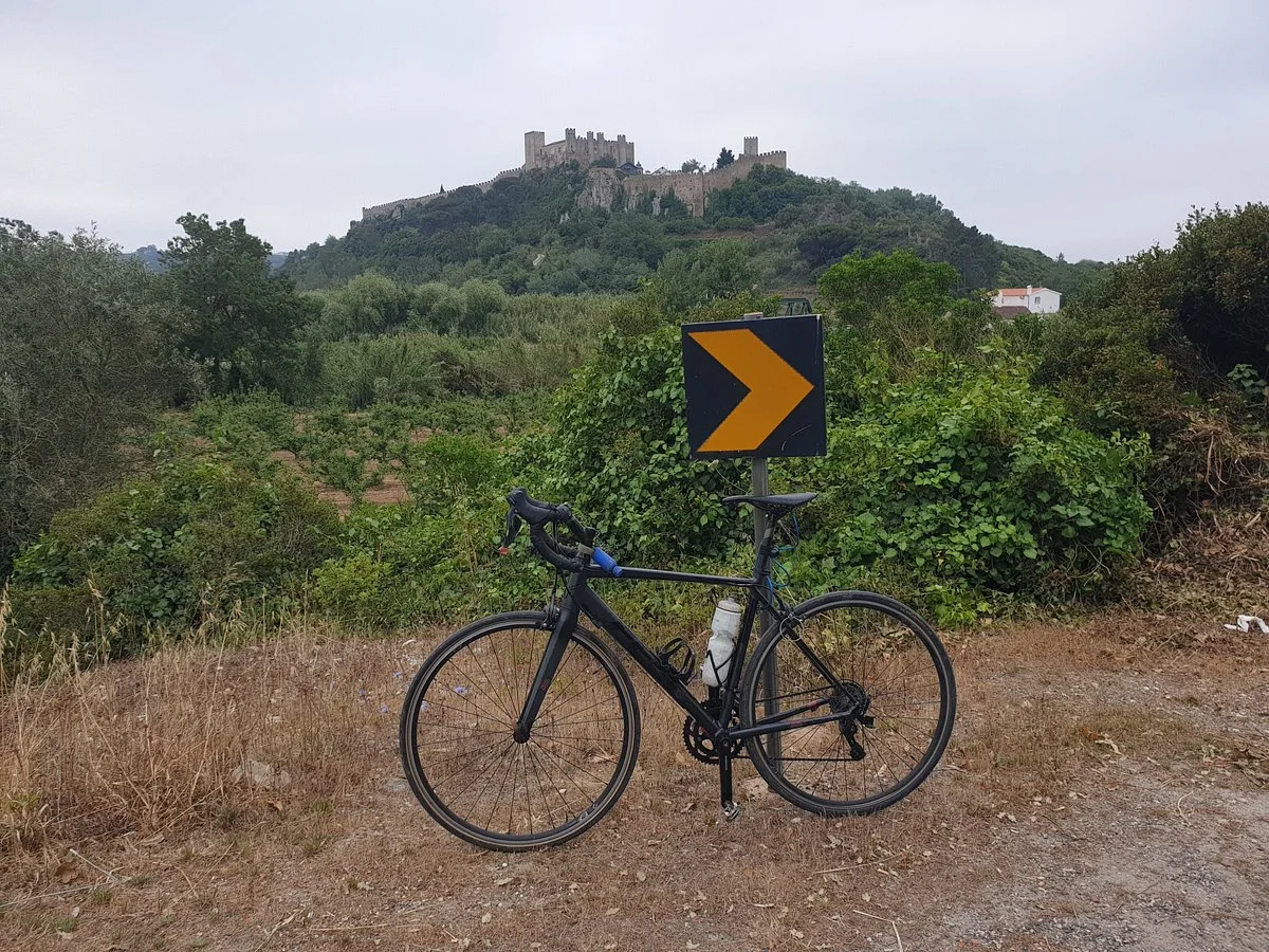 Cyclin Rio