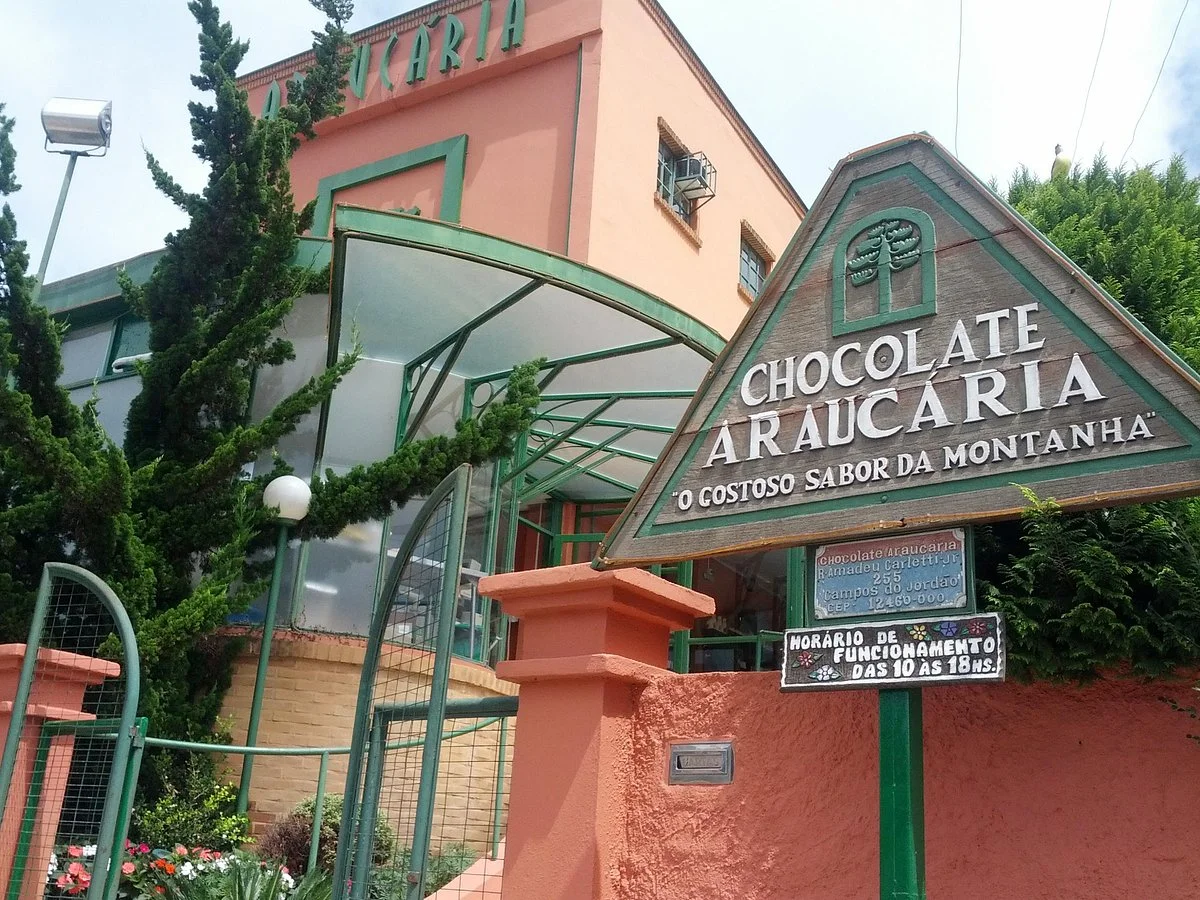 Chocolate Araucaria