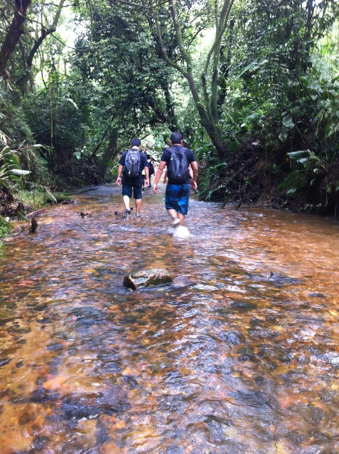 Paranapiacaba Ecotur