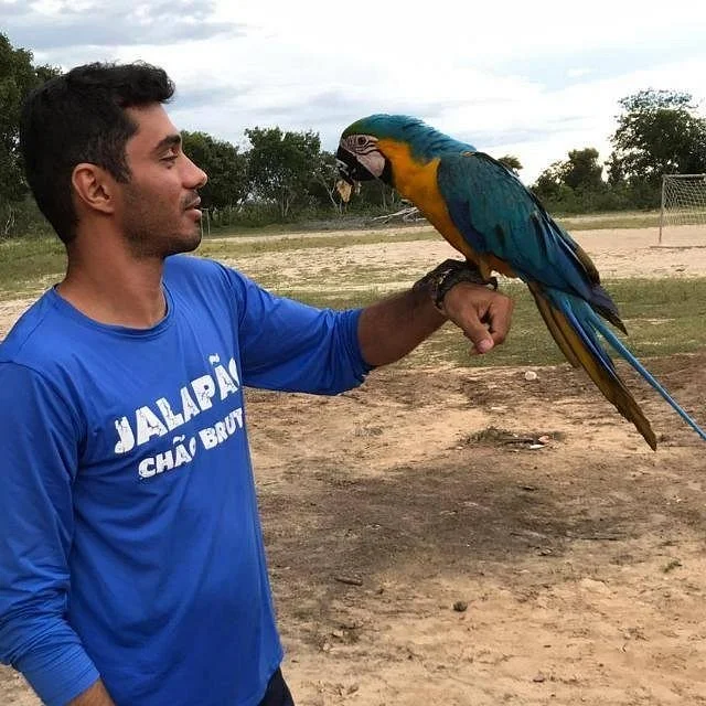 Top Expedições