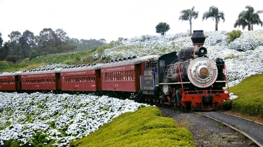 HS Turismo