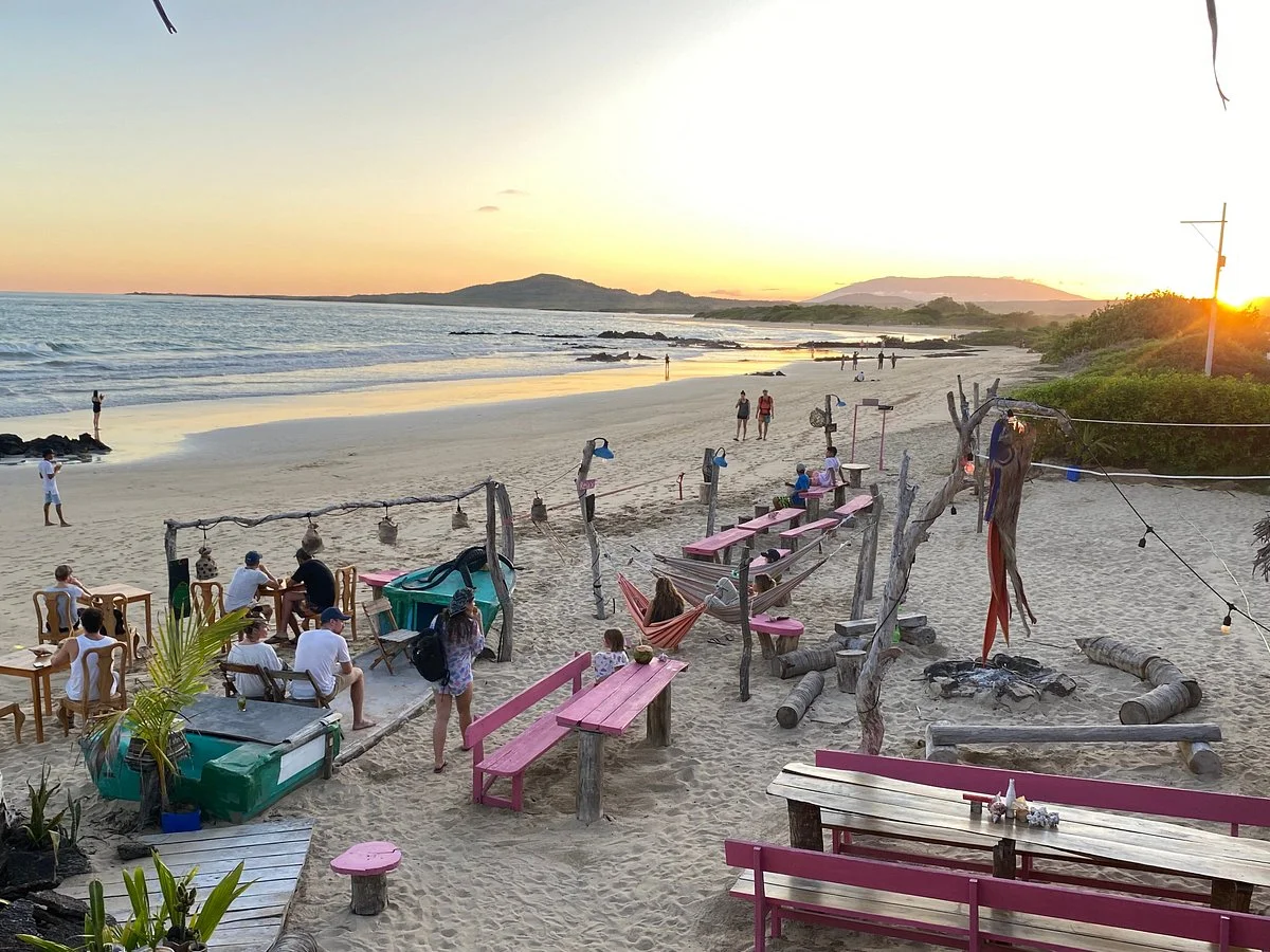 Pink Iguana Bar