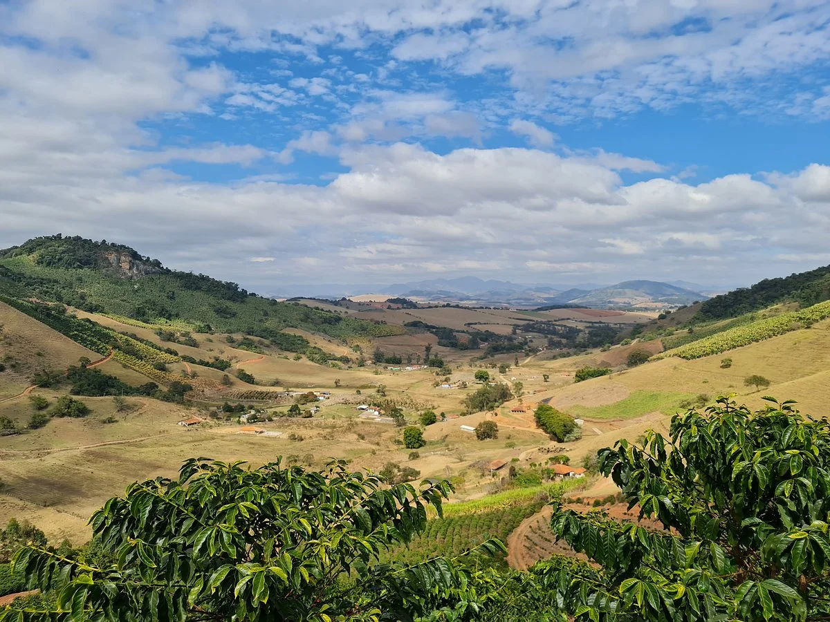 Casa Baldoni - Fazenda de Café