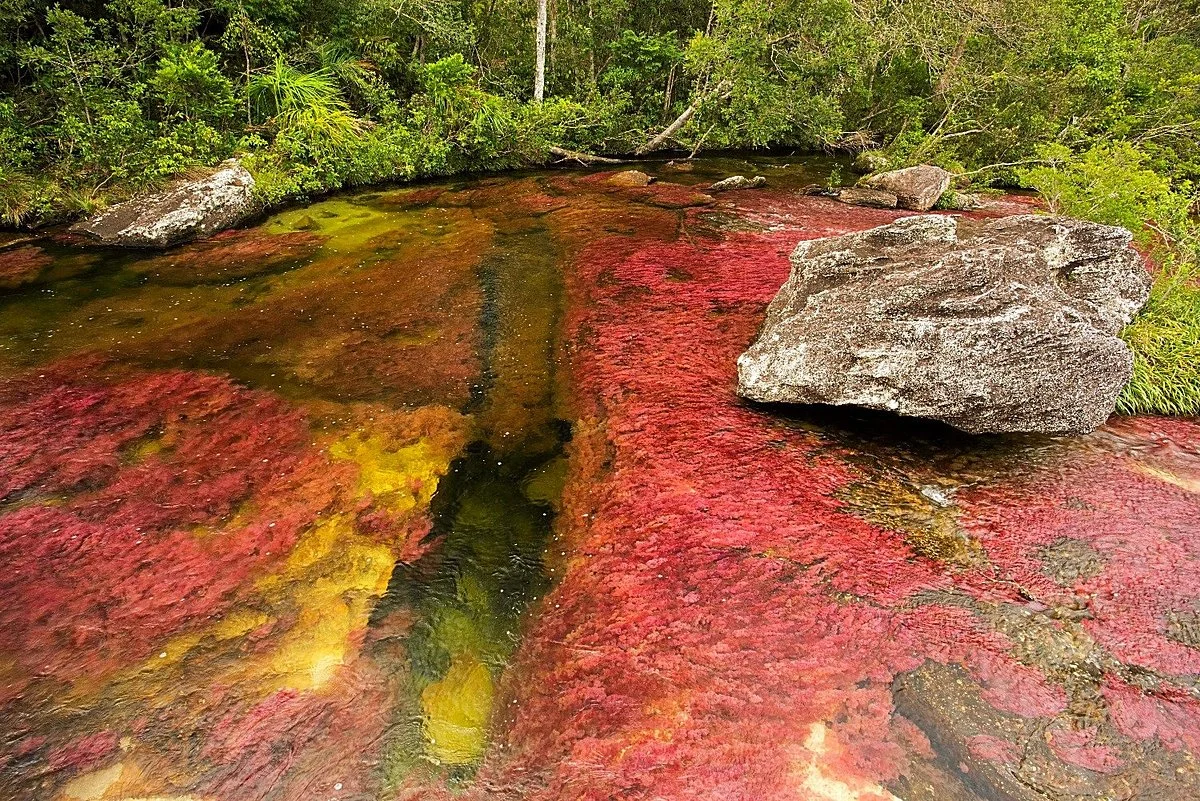 Ecoturismo Sierra de La Macarea