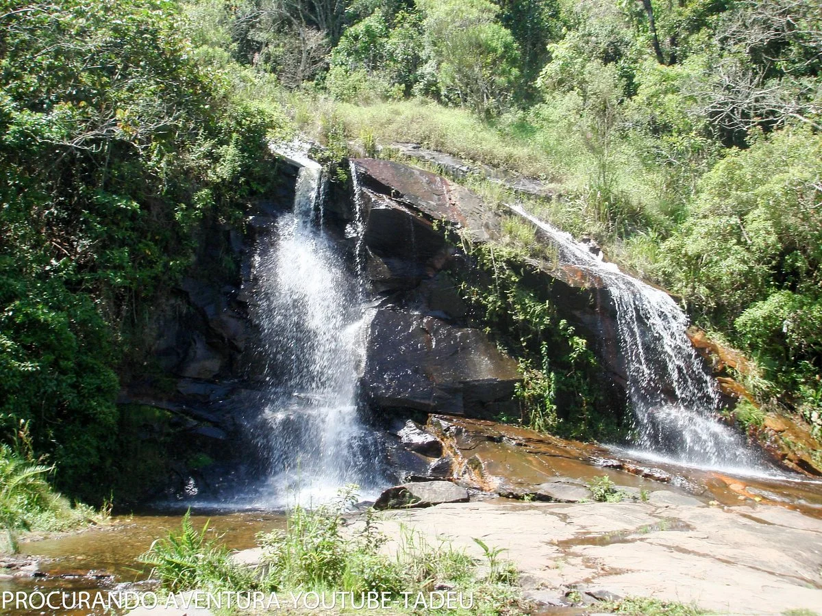 Parque Estadual Serra do Mar