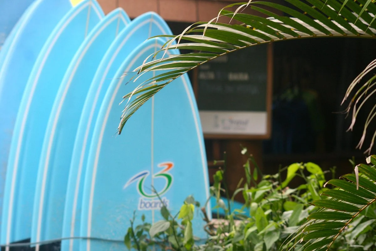 Brasil Surf School