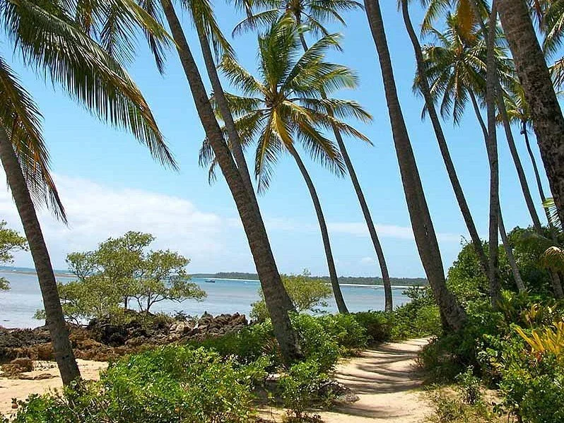 BahiaB Ecotourisme