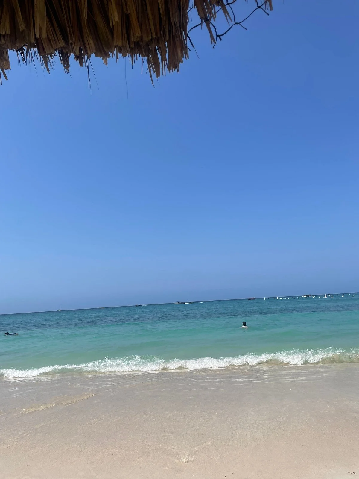Vehitours Cartagena