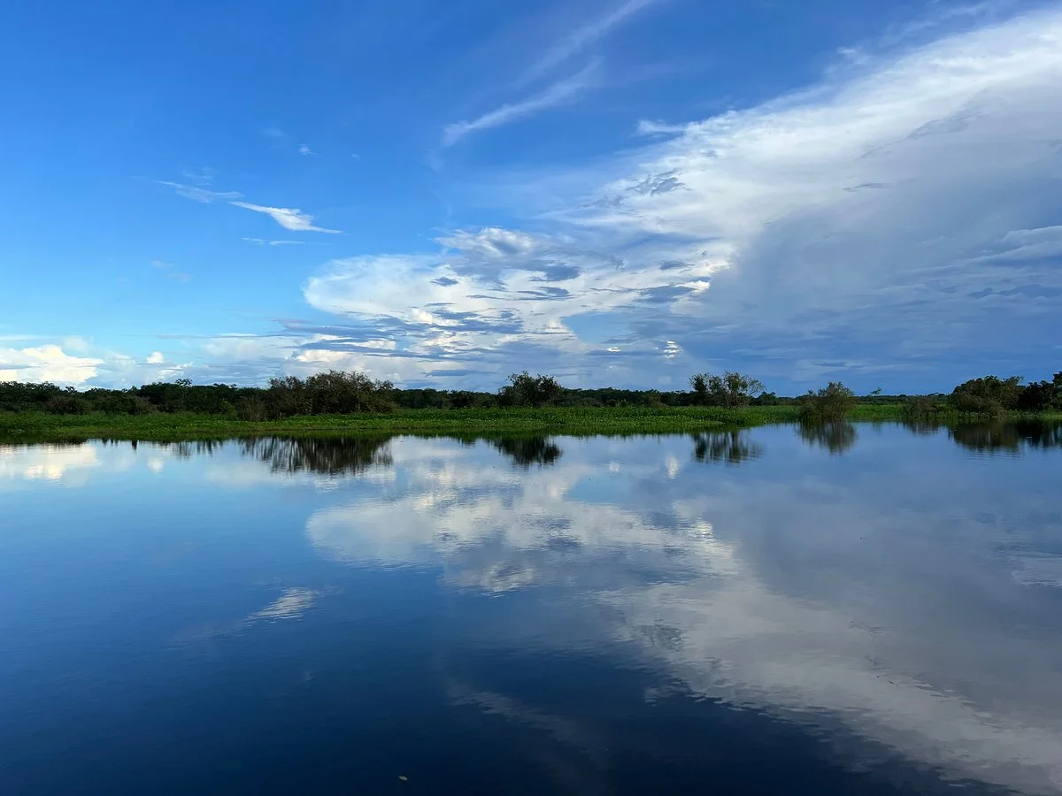 Amazon Wildlife Adventures