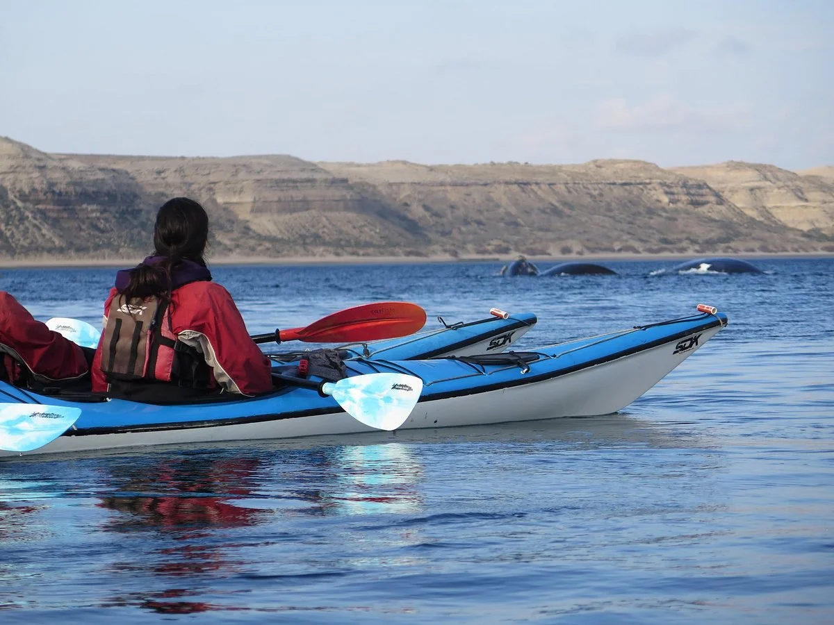 Patagonia Explorers Sea Kayak