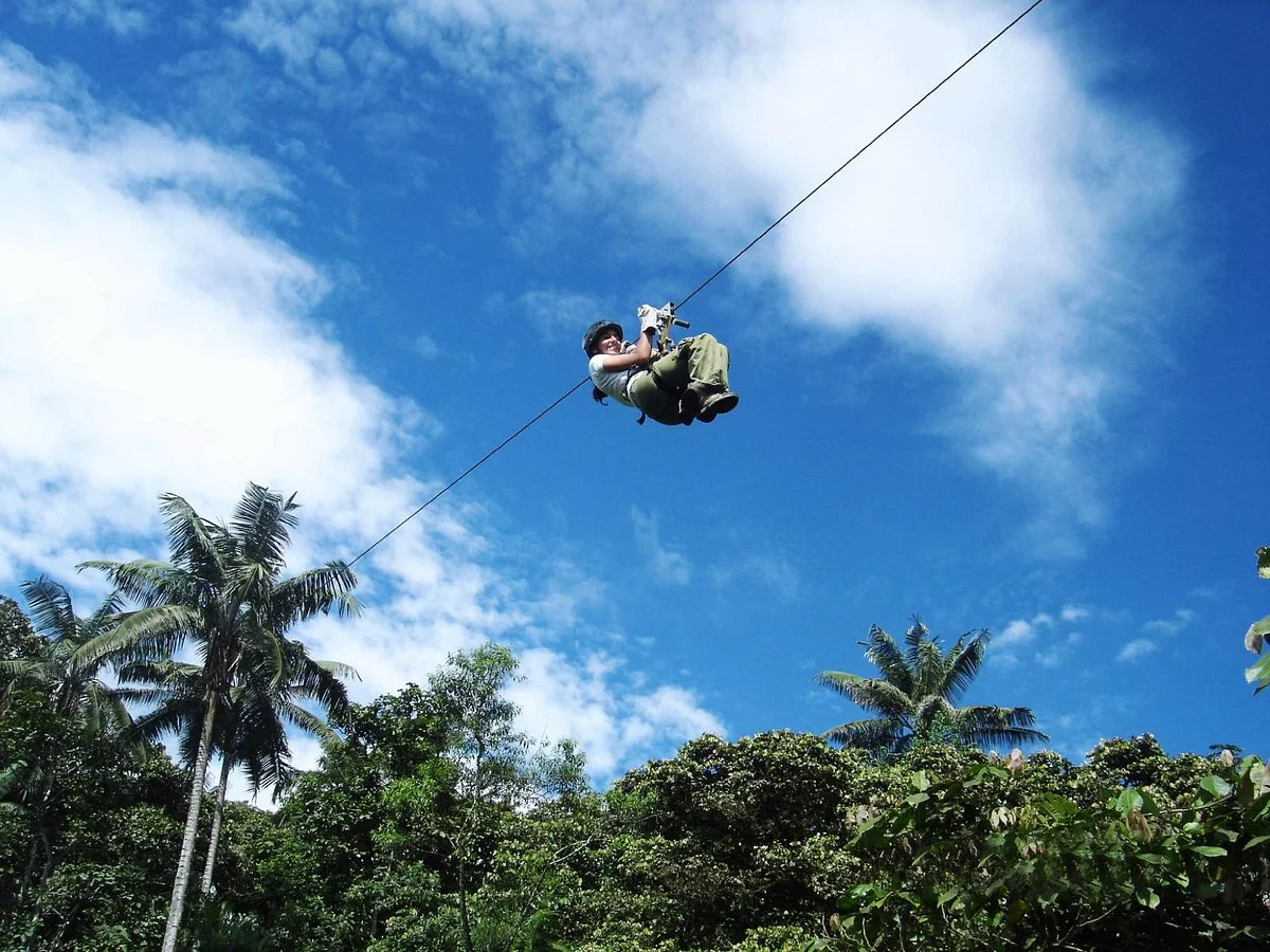 Tucanopy