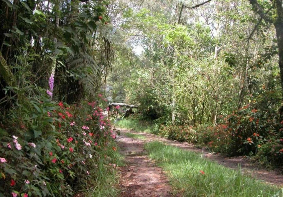 Rogitama Biodiversidad
