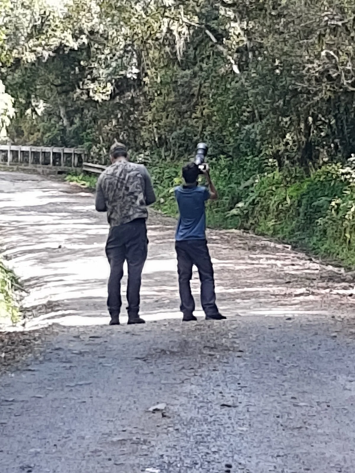 BirdsRio Birdwatching