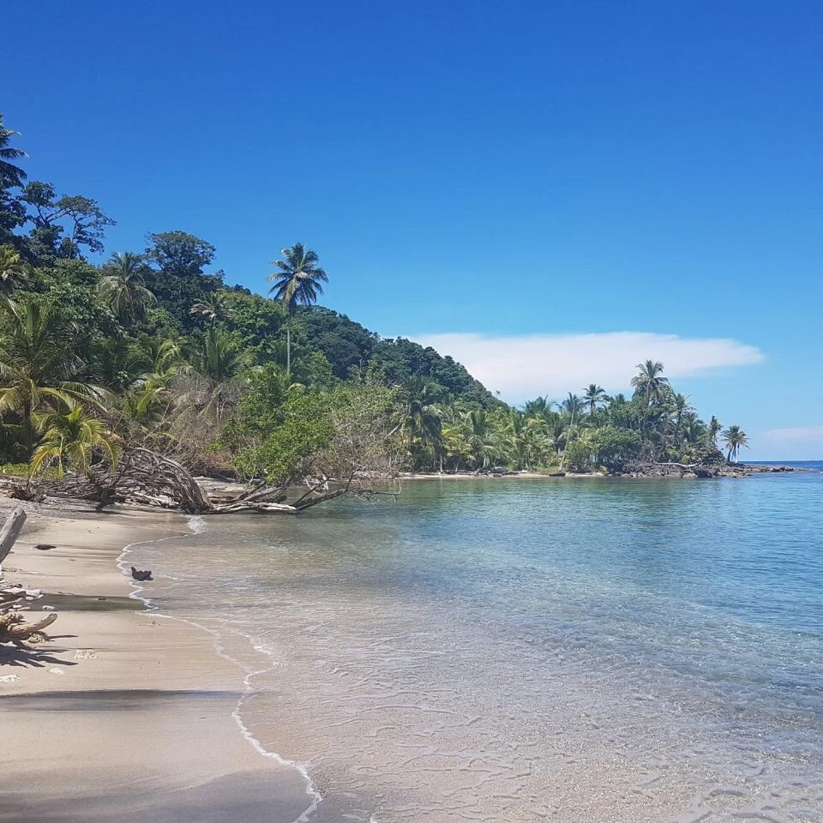 Cabo Tiburón