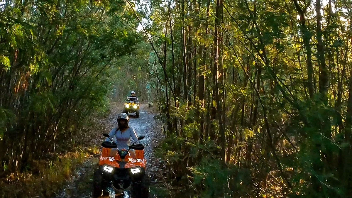Senda Nativa Naturaleza y Adventura
