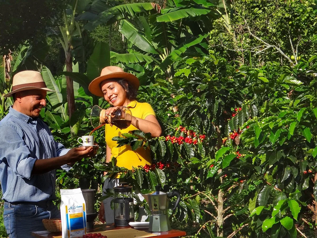 La Union Coffee Farm - Coffee & Fruits Tours