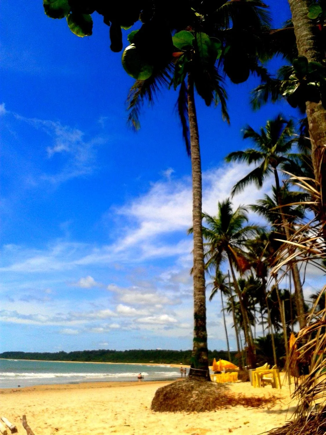 VIP Trancoso