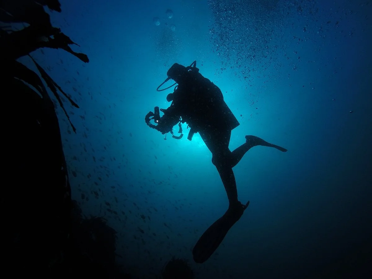 ODC Buceo