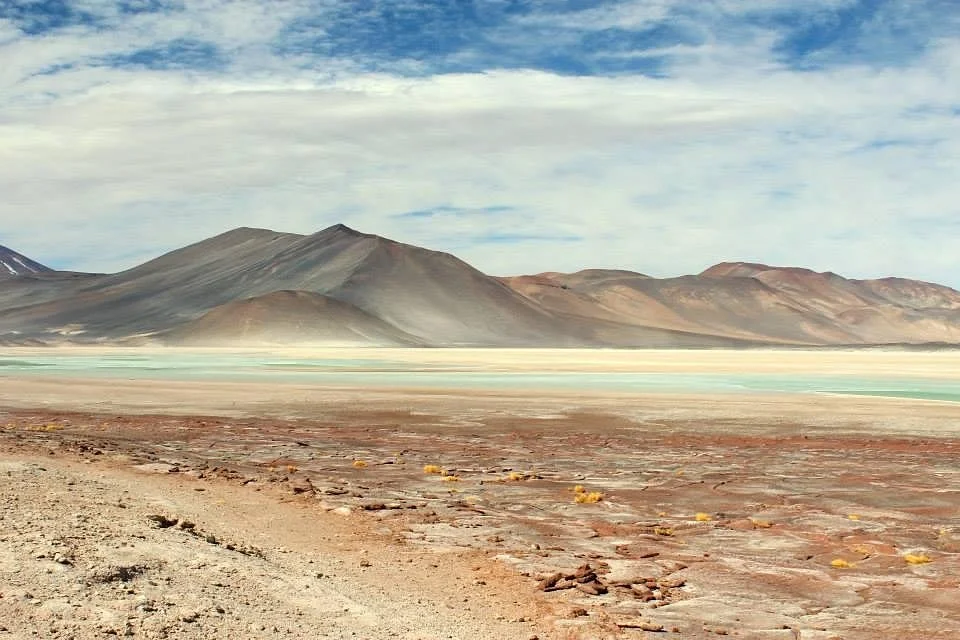 Enjoy Atacama