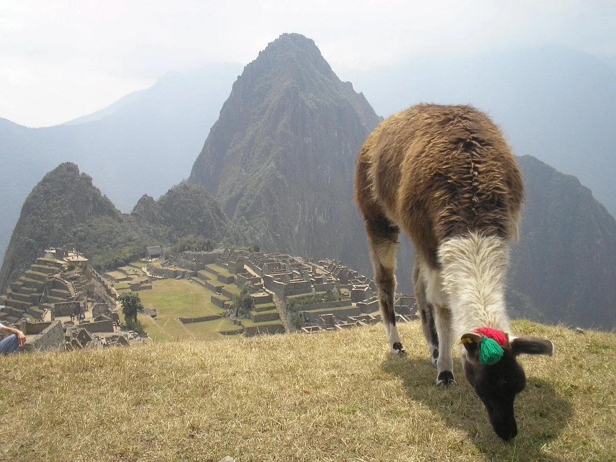 Trippers Peru Day Tours