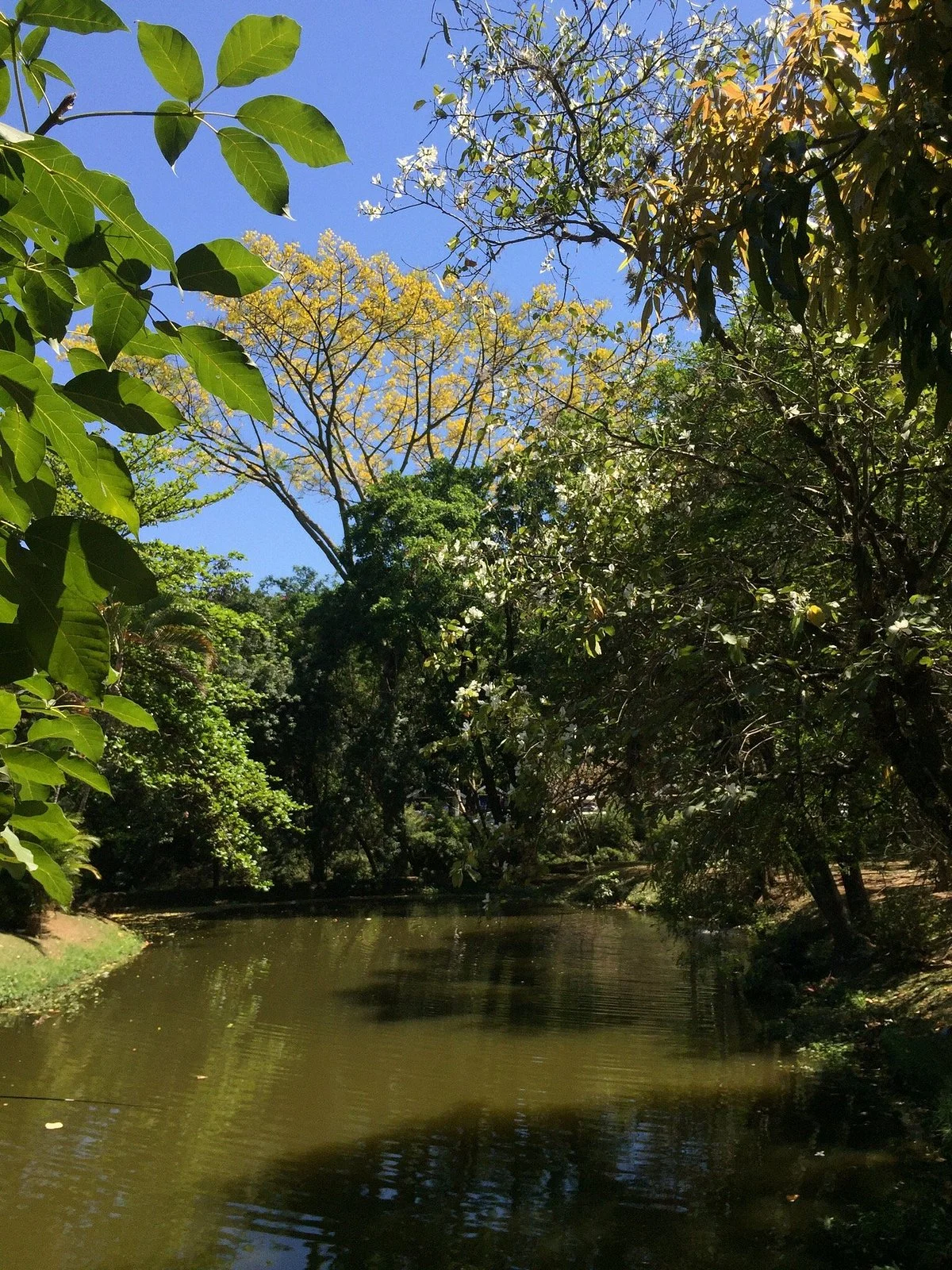 Bosque Estadual