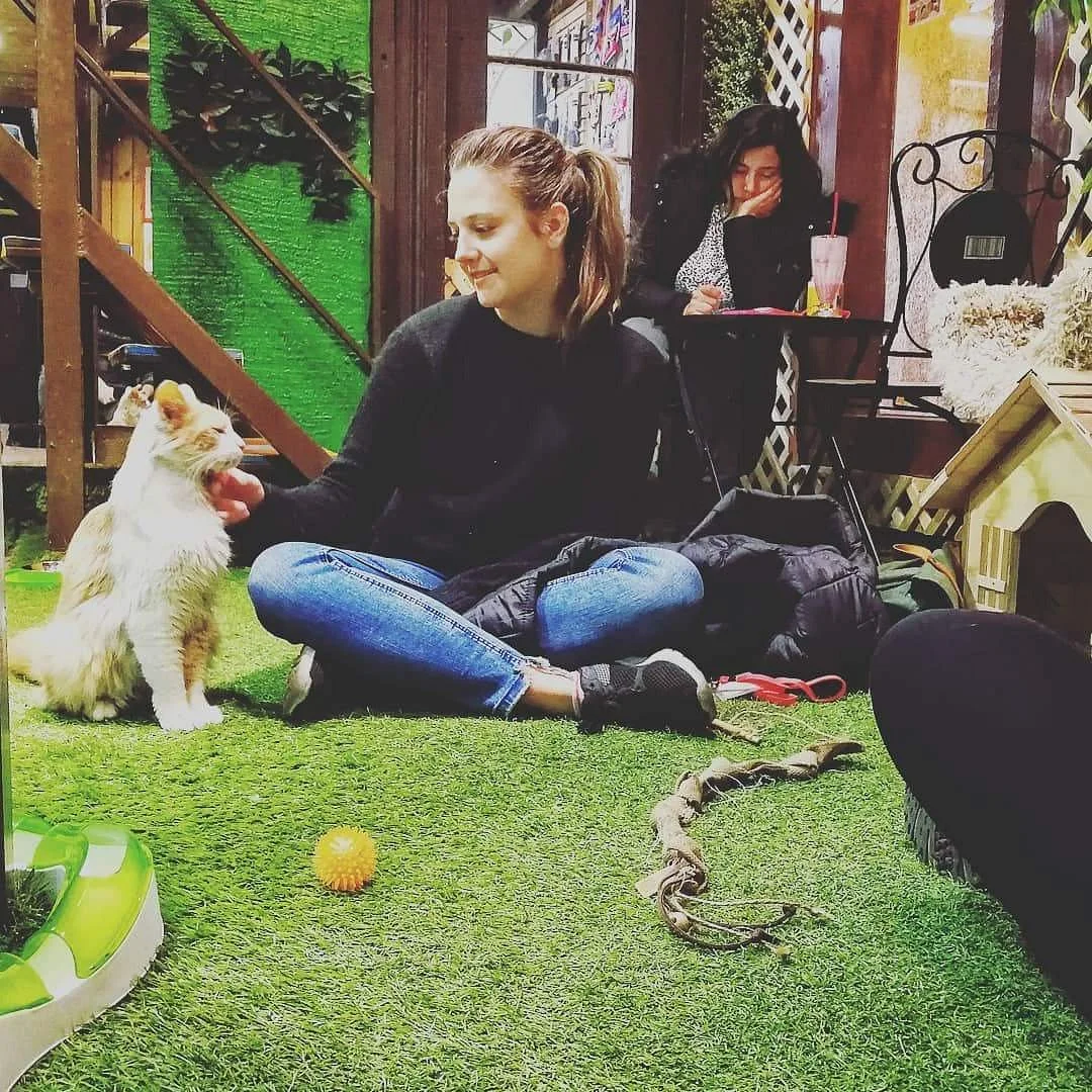 El Mundo De Dalí Cat Cafe