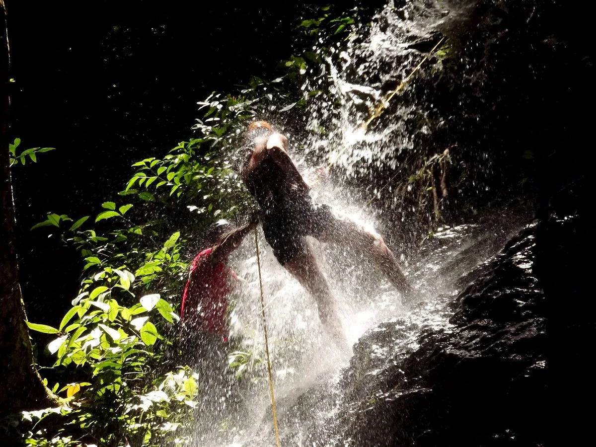 Jungle Xperience Suriname