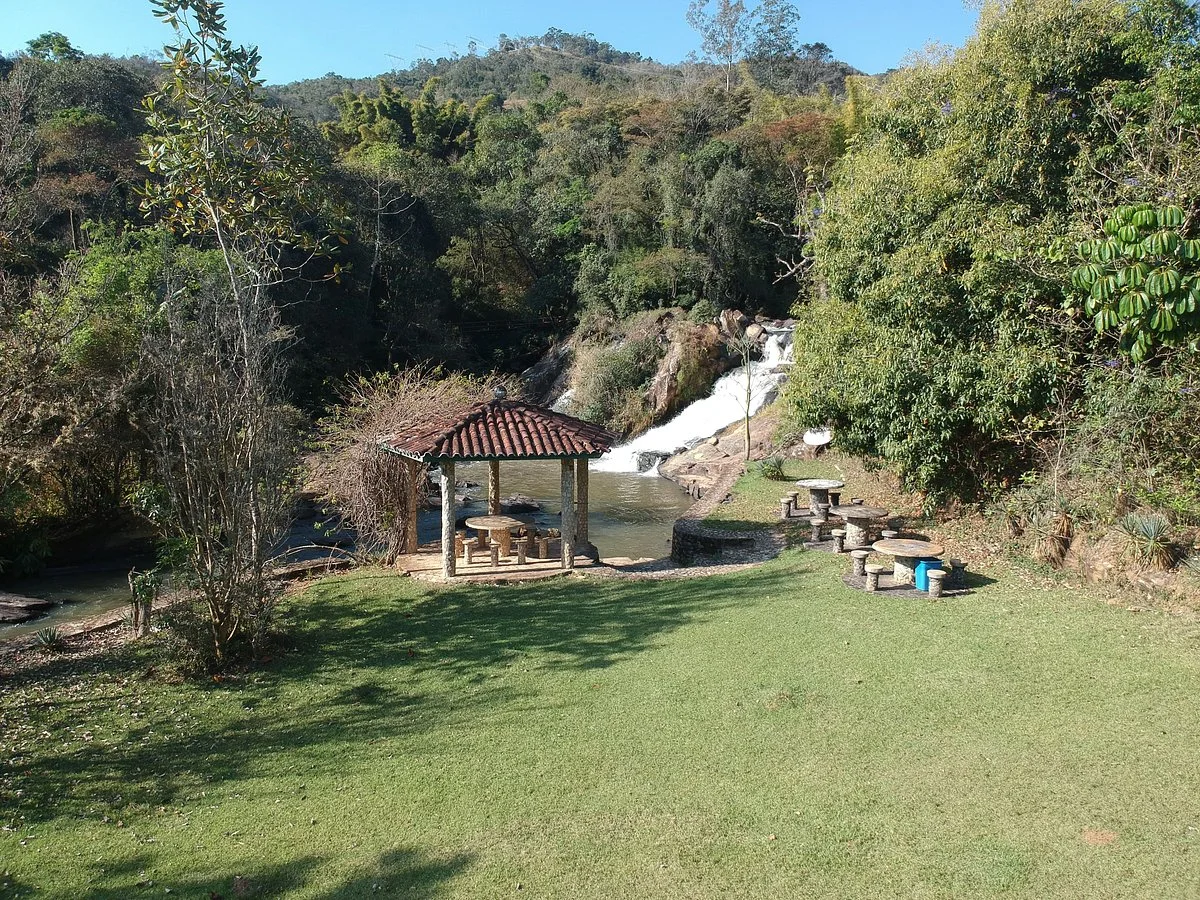 Radicais Natureza