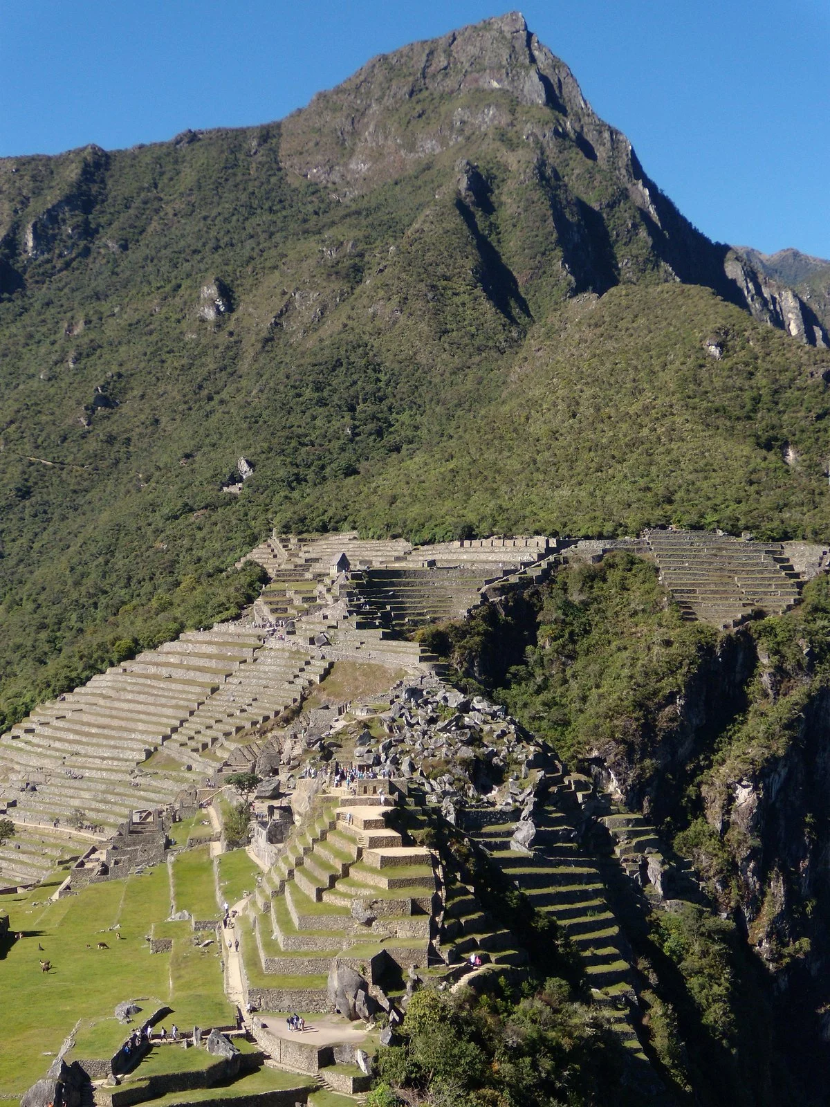 SATO Peru