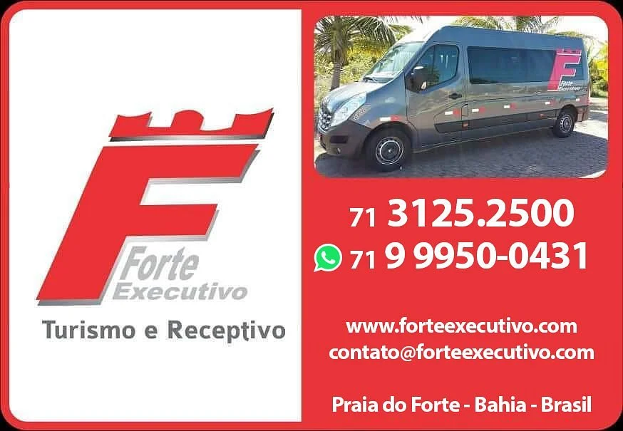 Forte Executivo Serviços de Turismo Eireli