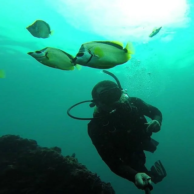 Tortuga Divers