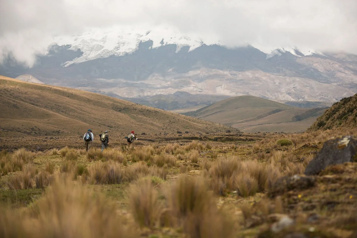 Tierra del Volcan