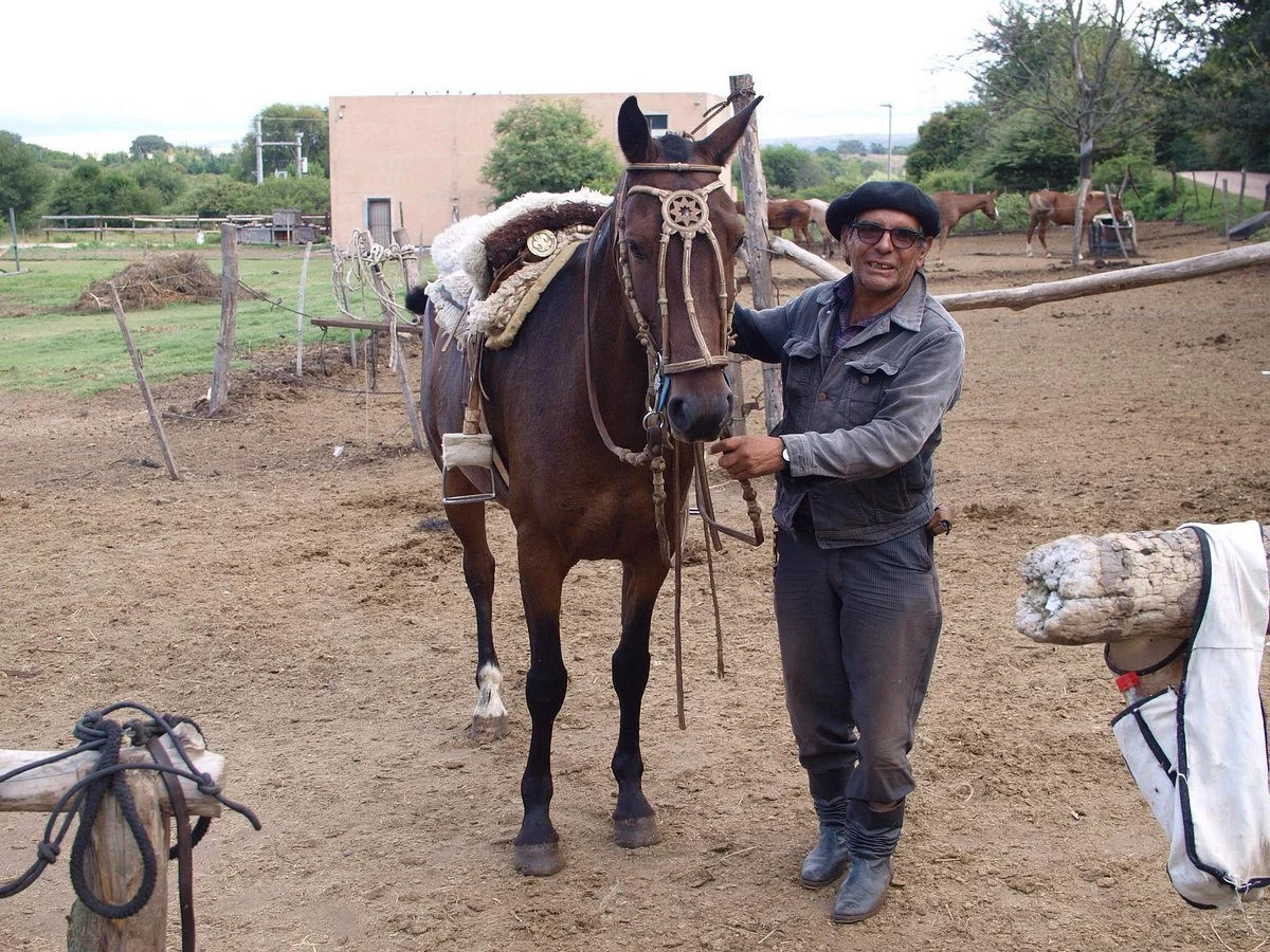 Carmelo Cabalgatas
