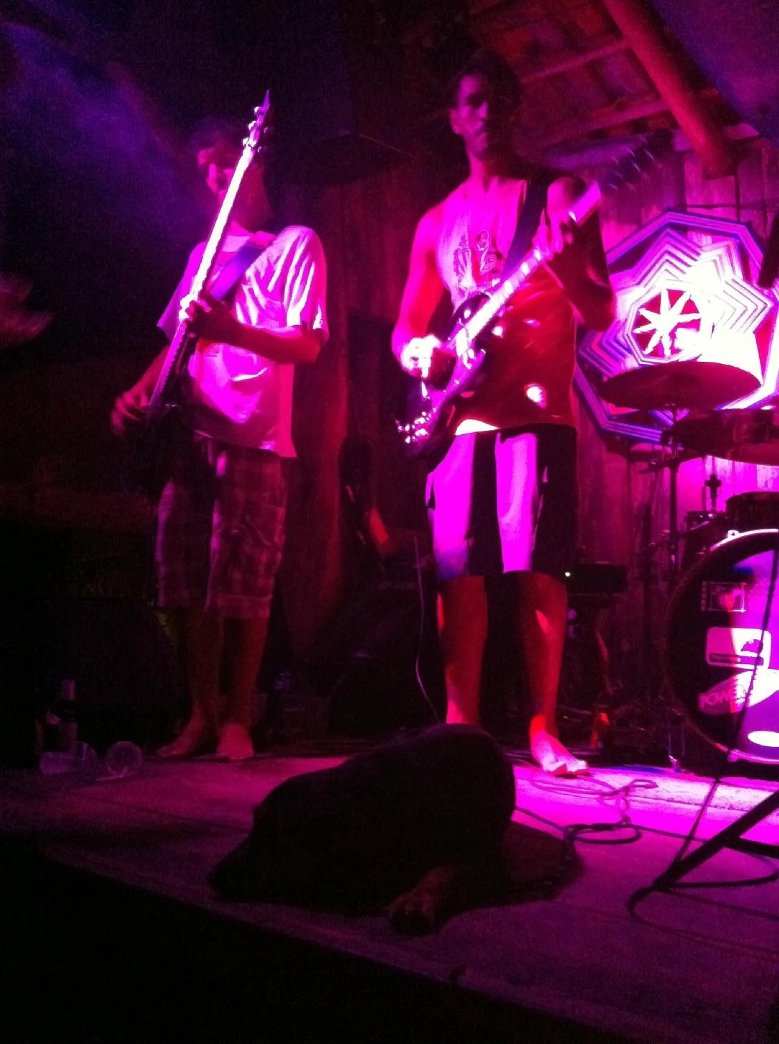 Biruta Bar