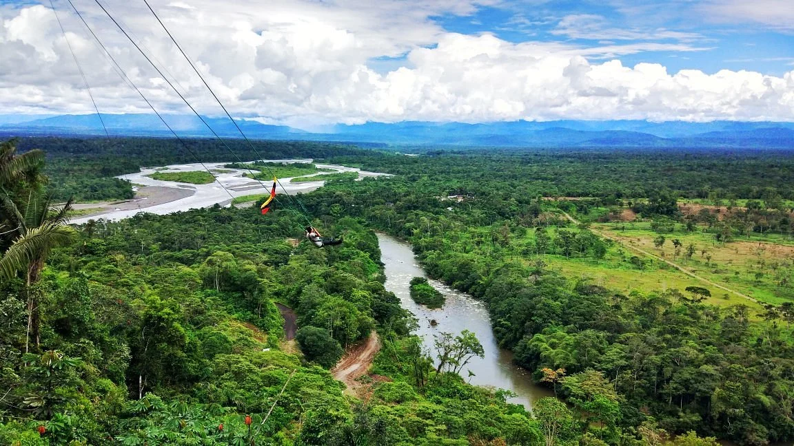 Portal a la Selva
