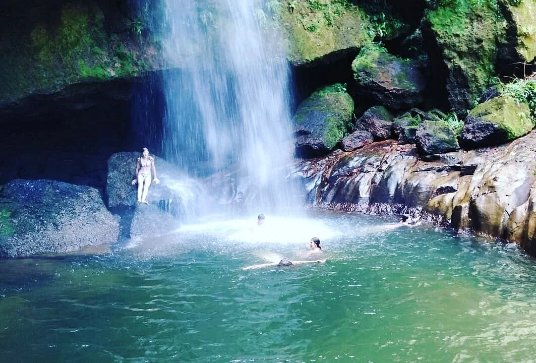Posada de los Andakies, Reserva Ornitológica