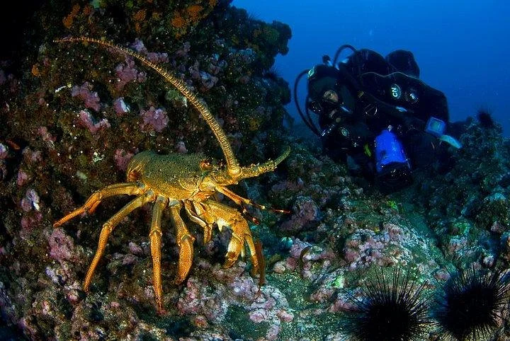 Marenostrum Expediciones