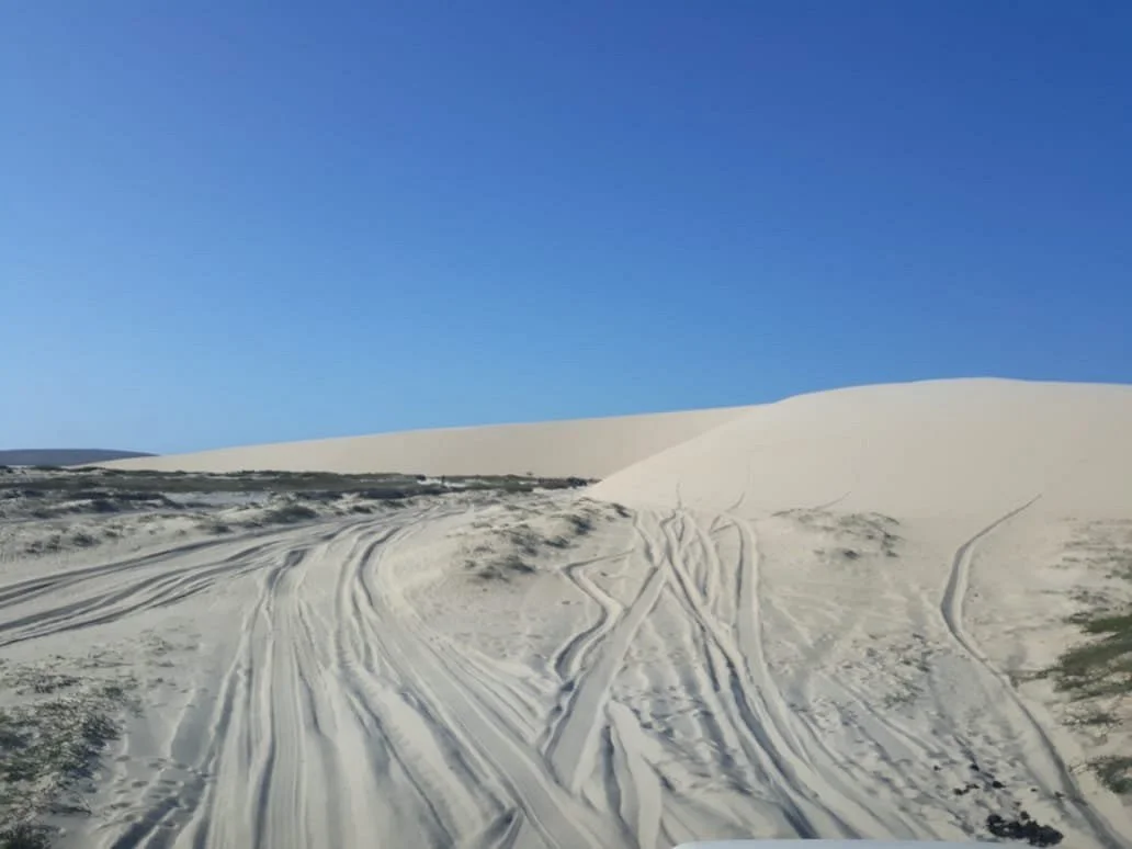 DB Viagens e Turismo