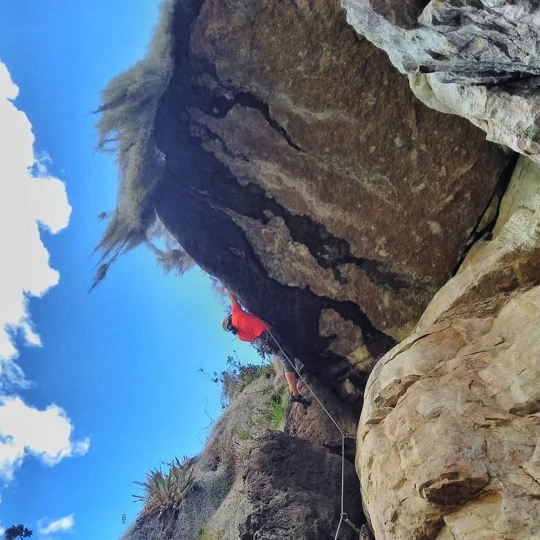 Alejandro Wa - Mountain Colombia