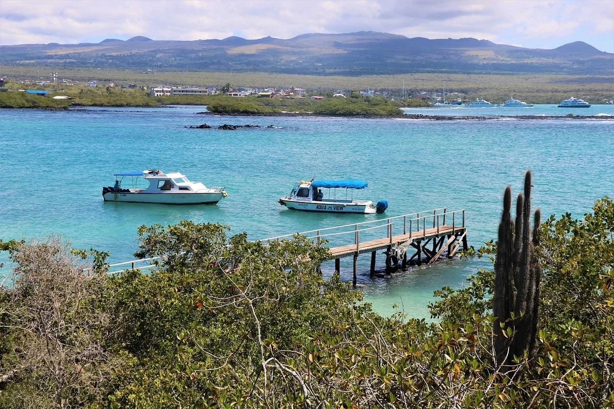 True Ecuador Travel