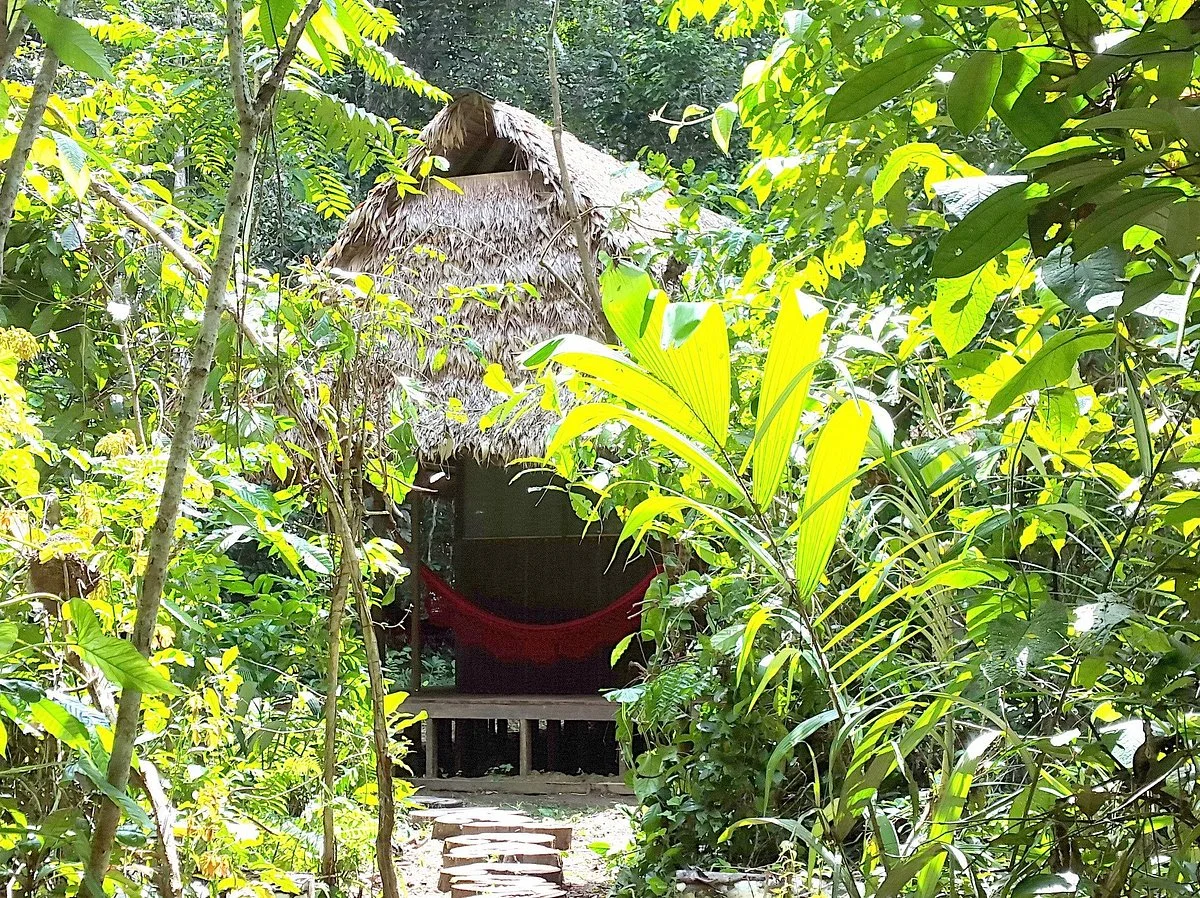 Madidi Jungle