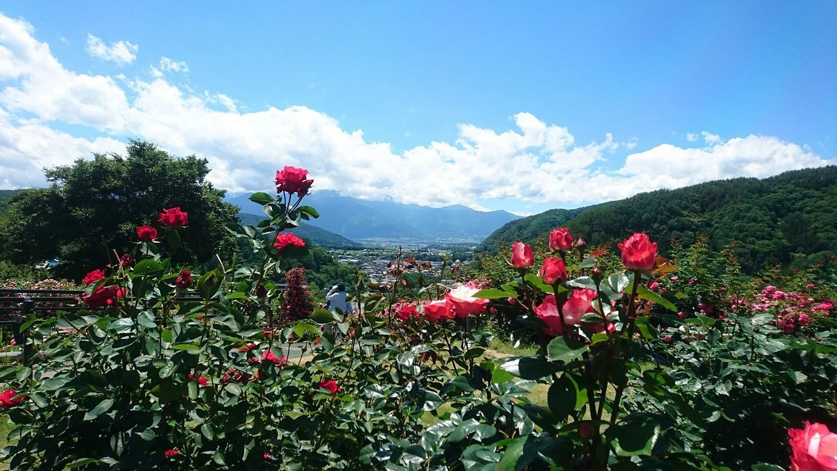 Takato Shinwa no Oka Rose Garden