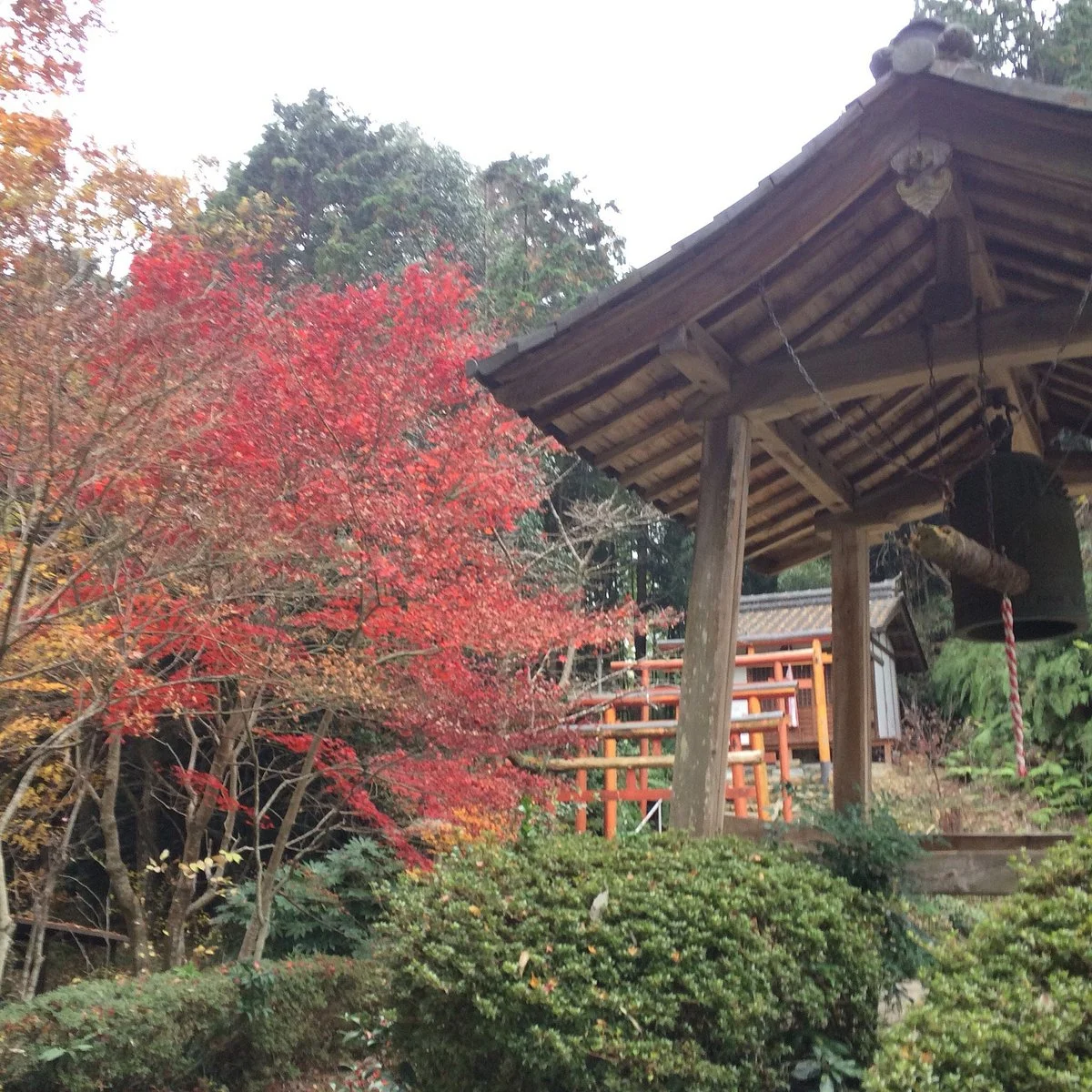 Kannon-ji Temple