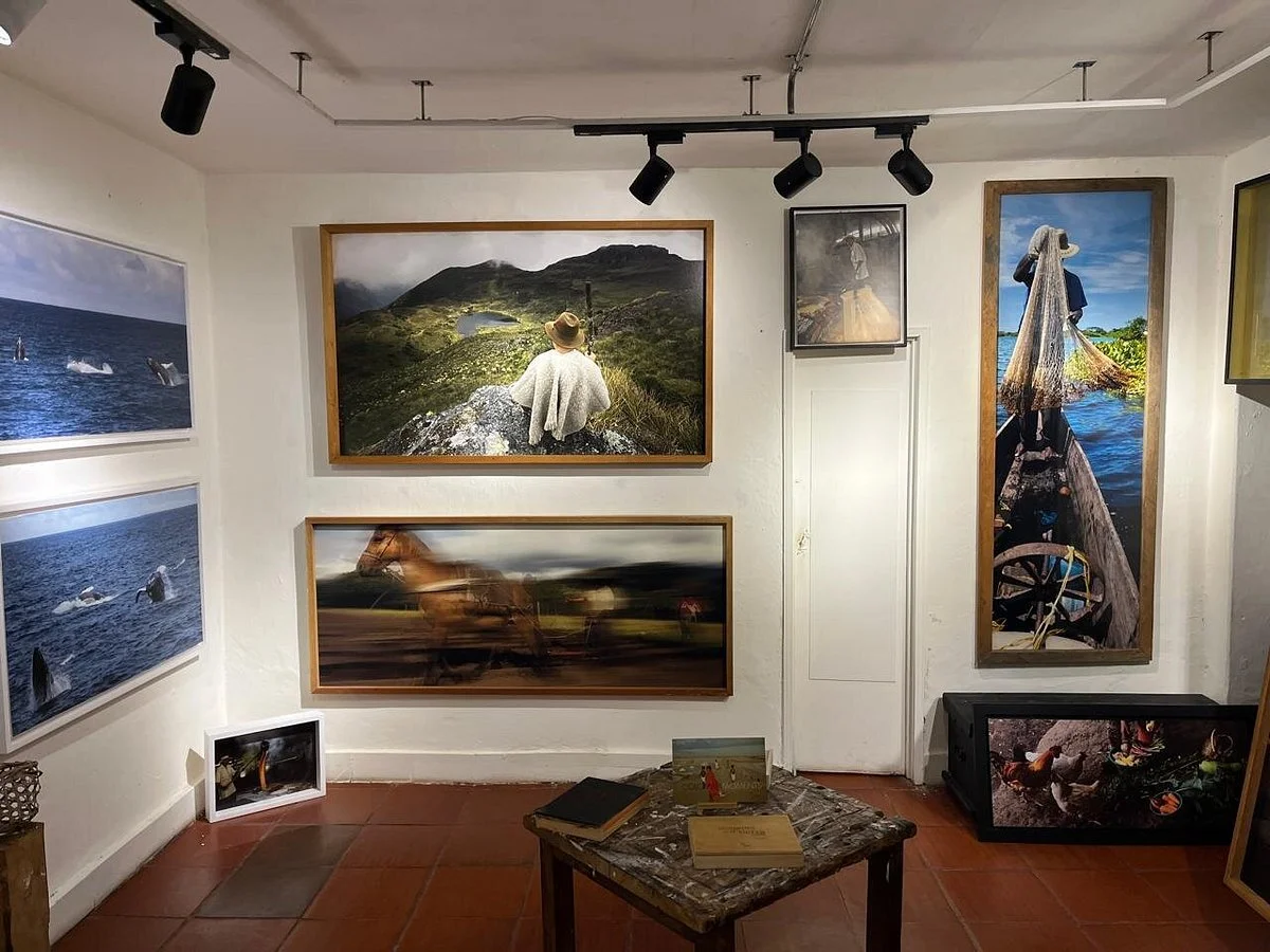 Tinto Galería