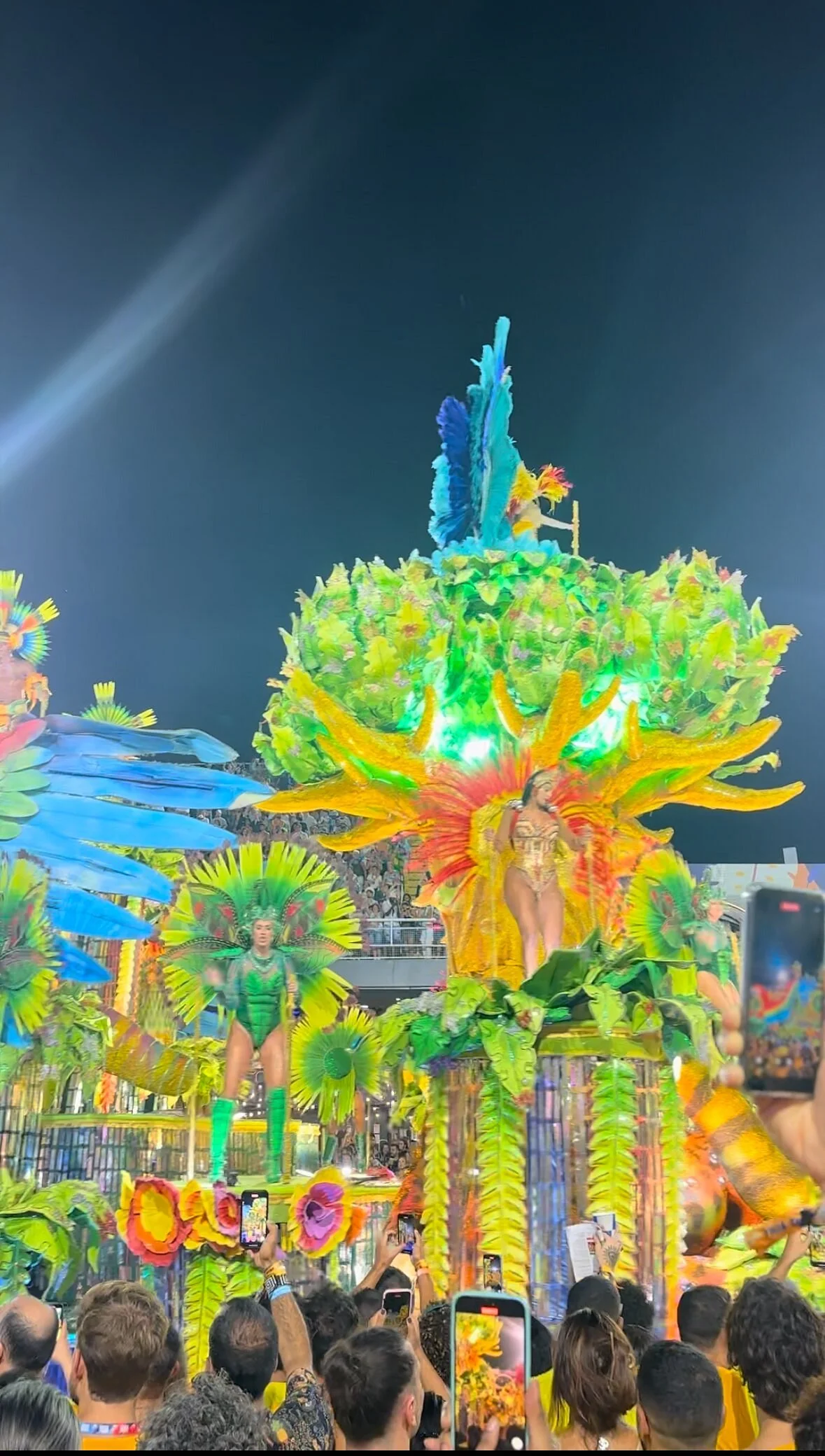 Folia Tropical