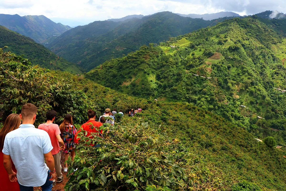 Coffee Tours - Finca La Manchuria